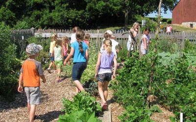 Renfrew Institute Presents Down A Garden Path for Kids