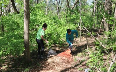 Fall Work Day At Ebbert Springs