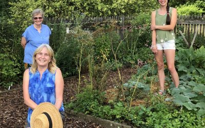 Institute at Renfrew Garden Talks