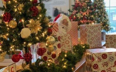 Final Week of Festival of Trees 2020