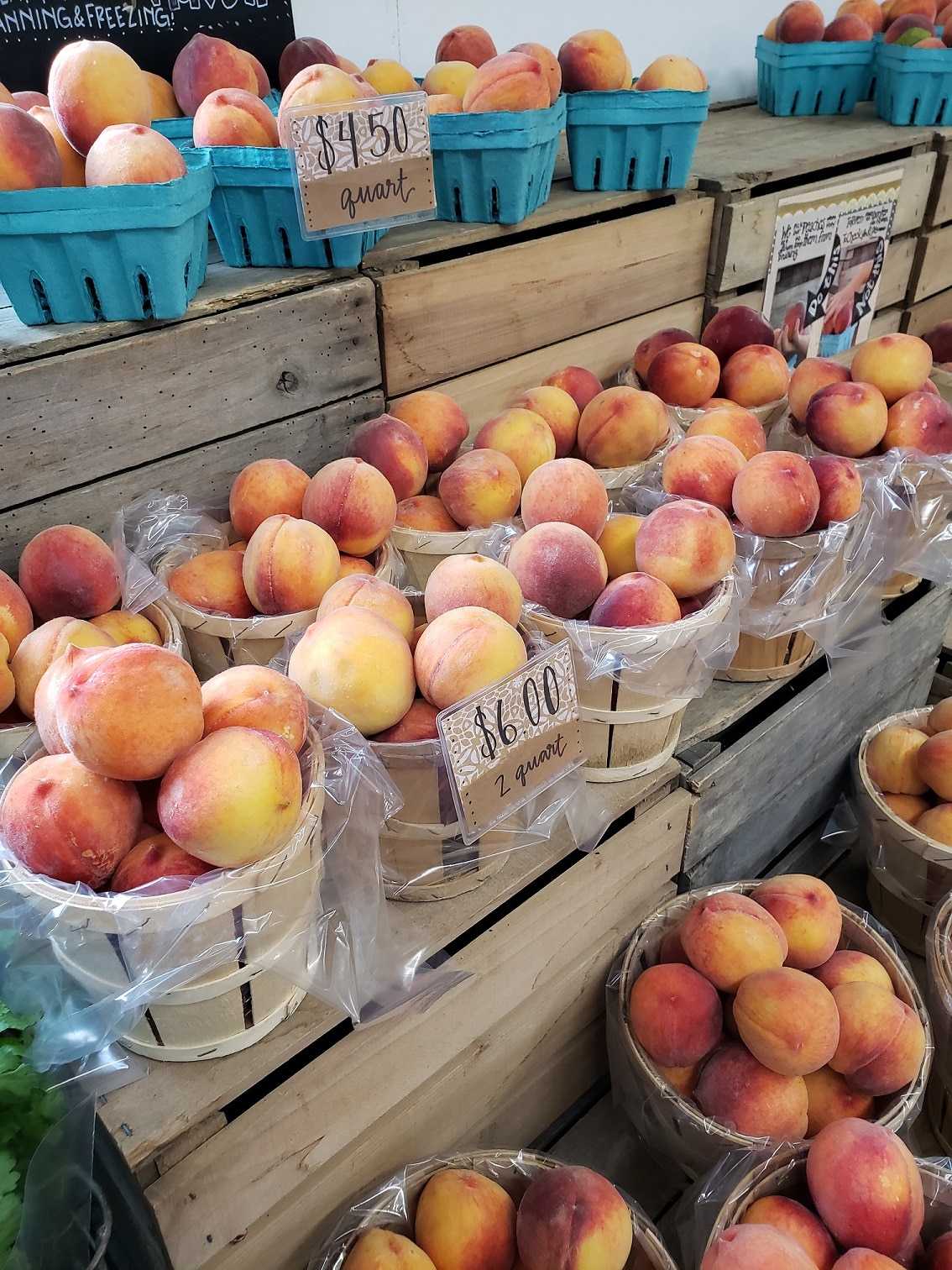 Franklin County Gold – Chambersburg Peaches!|Visit Franklin County PA