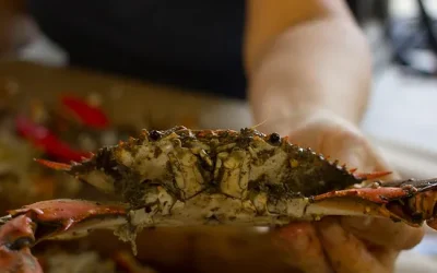 Downtown Chambersbug Inc. Hosts 27th Crabfeast 2023