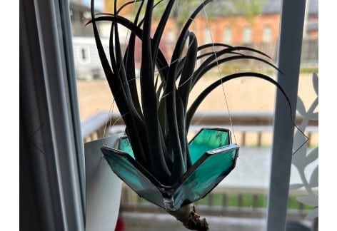 Stained Glass Air Plant Holder with Chris Parker | Council For The Arts, Chambersburg