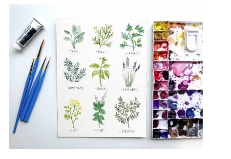 Watercolor Workshop; Herb Identification | Grayce Gardens, Chambersburg