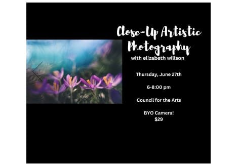 Close-Up Artistic Photography with Elizabeth Willson | Council For The Arts, Chambersburg