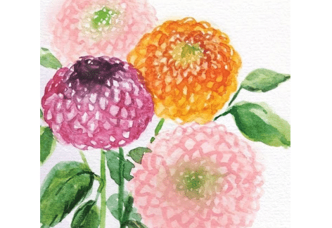 Watercolor Florals; Dahlias, Cosmos, Ranunculus | Grayce Gardens, Chambersburg