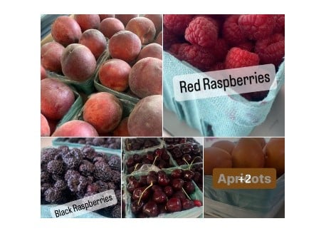 Produce & Available Fresh Fruit | Tracey’s Orchard, Greencastle