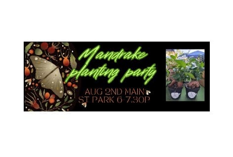 First Friday Mandrake Planting Party | Main Street Park, Waynesboro