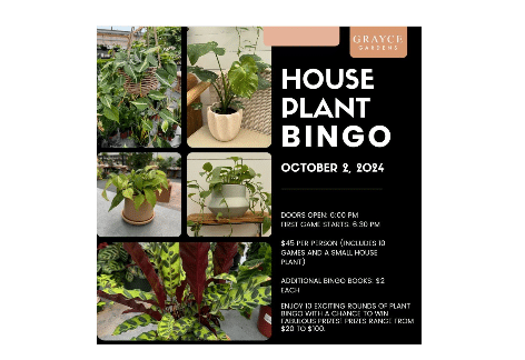 House Plant Bingo | Grayce Gardens, Chambersburg