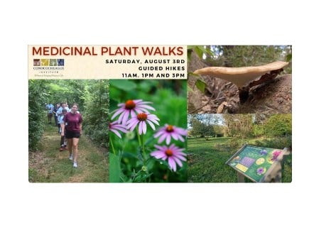 Medicinal Plant Walks | The Conococheague Institute, Mercersburg