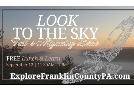 Look to the Sky: Migrating Birds Lunch & Learn | Franklin County 11/30 Visitors Bureau, Chambersburg