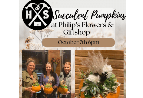 Succulent Pumpkins | Philips Flowers & Gift Shop, Mercersburg