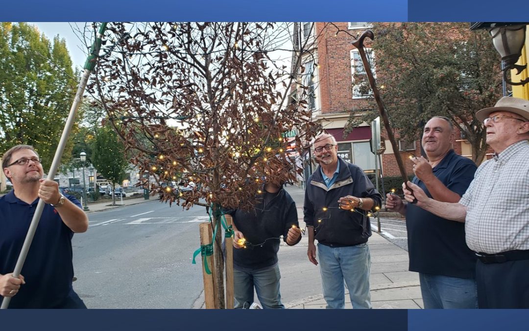 Deocrating a new tree to replace Egon Gartenberg's first honorary tree.