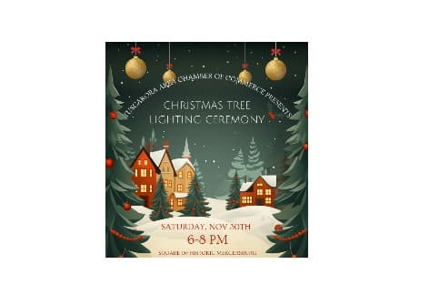 Mercersburg Christmas Tree Lighting | Mercersburg Square