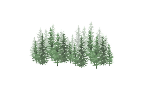 Pine Tree Forest Watercolor | Grayce Gardens, Chambersburg