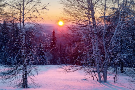 Winter Solstice Celebration | Buttonwood Nature Center, Waynesboro