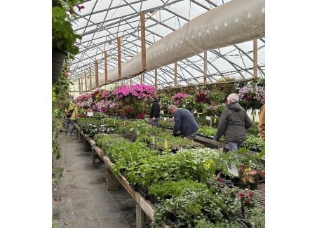 Spring Fest – 5 Year Anniversary Celebration | Backroads Greenhouse, Chambersburg